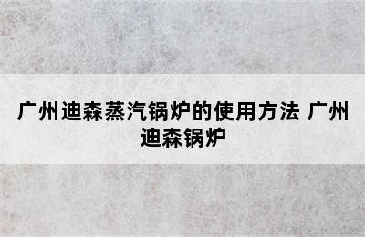 广州迪森蒸汽锅炉的使用方法 广州迪森锅炉